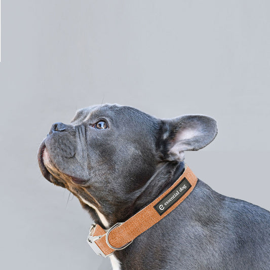 Organic Hemp & Cotton Dog Collar – Orange Burst | Eco-Friendly, Strong & Soft